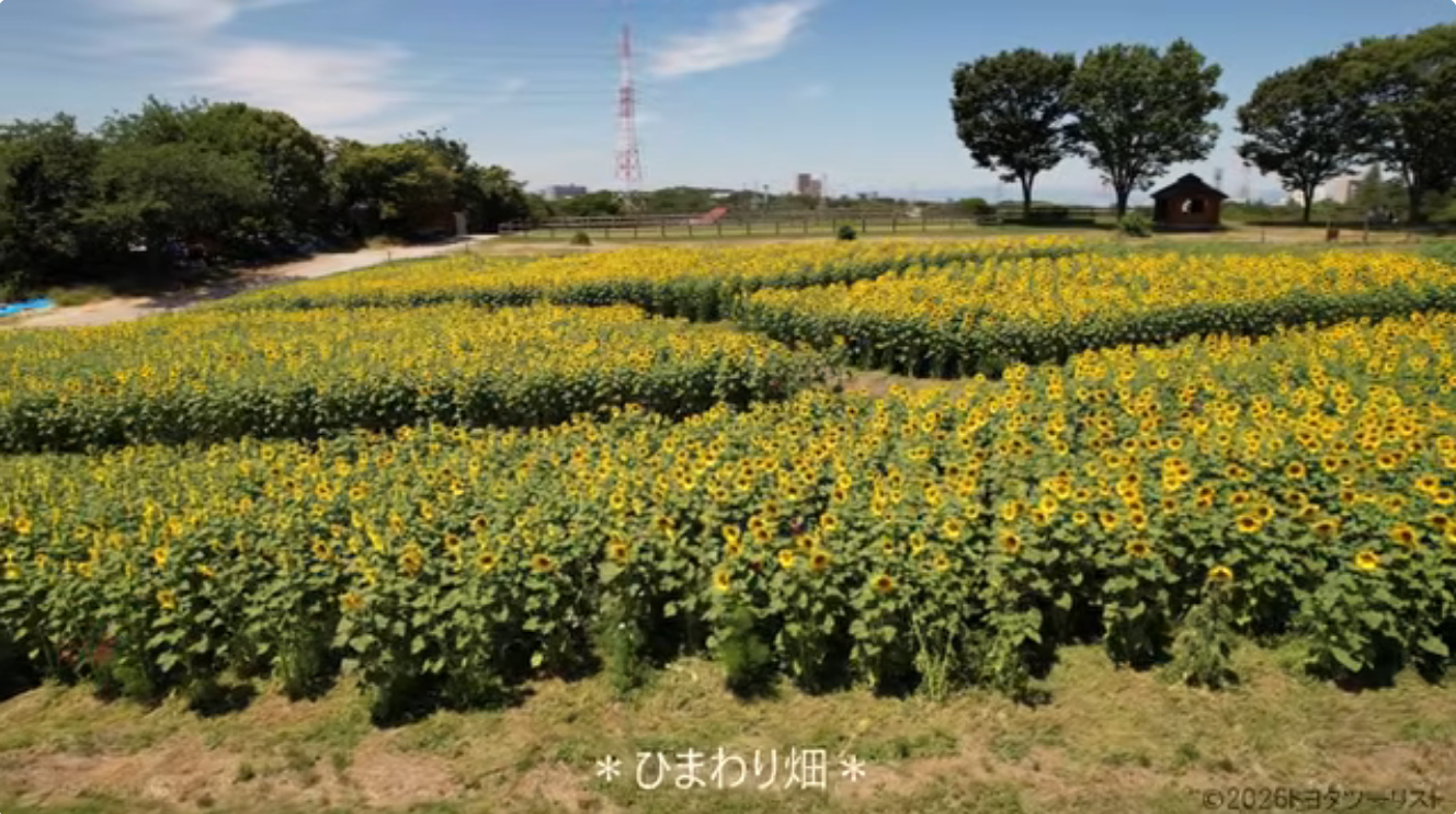 イメージ画像